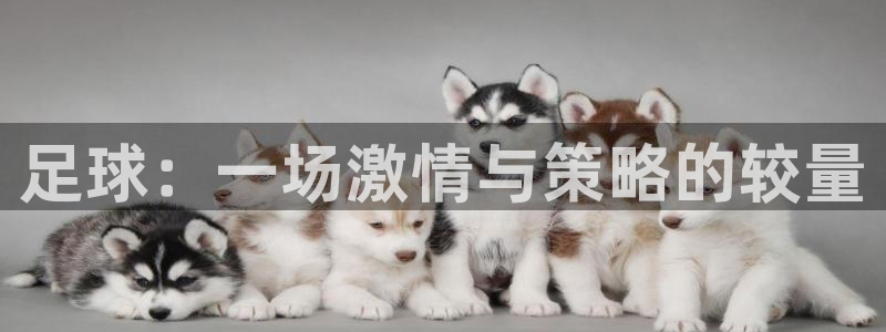杏悦2体育官网