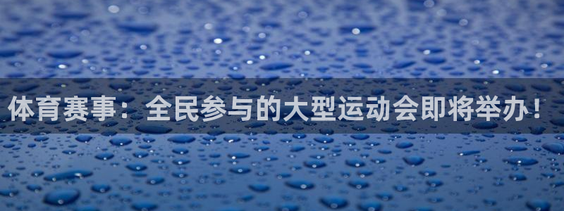 杏悦24