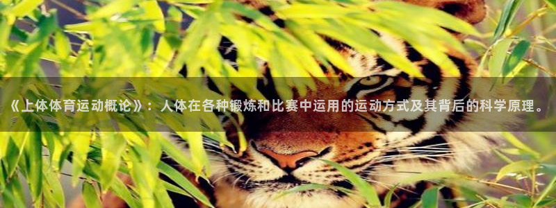 杏悦23注册