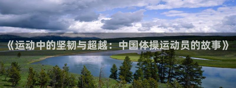 成都杏悦2电子有限公司