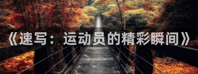 杏悦2体育2
