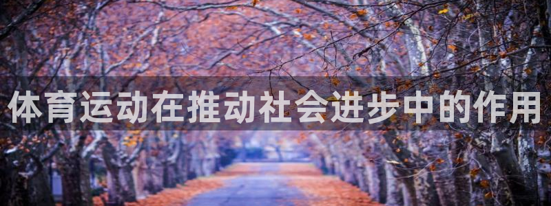 杏悦2平台注册