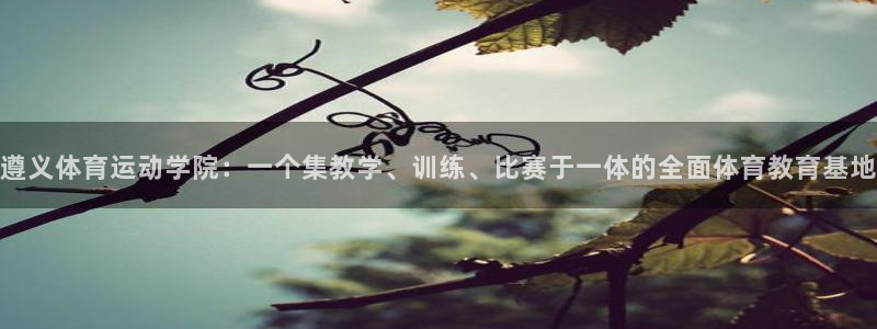 杏悦22官网