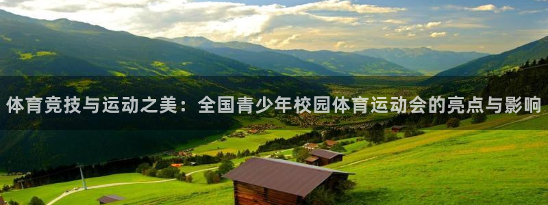 杏悦2主管球27337