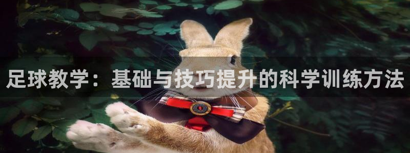 杏悦2平台官网