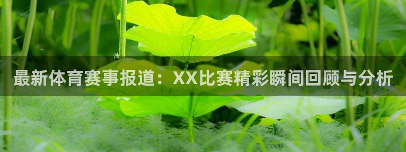 杏悦2体育1招商